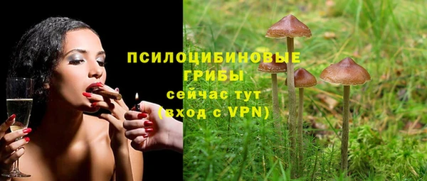 mdpv Алексин