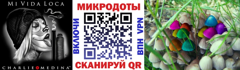 как найти наркотики  OMG как зайти  Галлюциногенные грибы Magic Shrooms  Нижний Ломов 